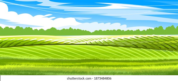 Hills and meadows. Haymaking pastures. Agricultural farm land. Green grass. Grassland for farming. Beautiful countryside landscape. Vector