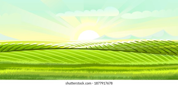 Hills and meadows. Haymaking pastures. Agricultural farm land. Green grass. Grassland for farming. Beautiful countryside landscape. Vector