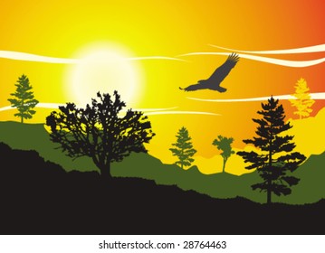 Hills and trees