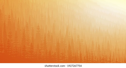 Hillside covered with dense forest in the morning light