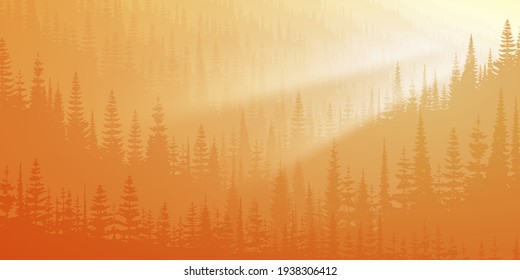 Hillside covered with dense forest in the morning, the lights of a sun