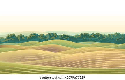 Hilly agricultural landscape, with cultivated by agriculture fields and hills, with a warm dawn sky above the horizon. Vector illustration.