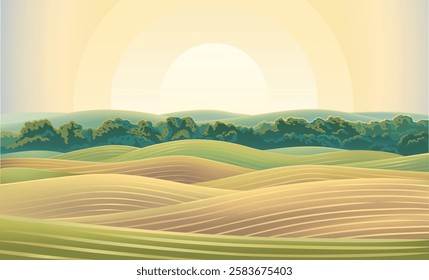 Hilly agricultural landscape, with cultivated by agriculture fields and hills, with dawn sky  and sun above the horizon. Vector illustration.