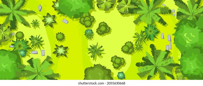 Hilly lawn in the forest. View from above. Rainforest. Countryside rural landscape. Green foliage of trees and shrubs. Top view. Background illustration in cartoon style. Vector