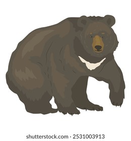 Urso do Himalaia com uma faixa branca característica. O maior predador da floresta. Animal selvagem no parque natural. Ilustração vetorial em estilo plano.