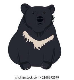 Himalayan bear vector stock illustration. A wild animal. Sits. isolated on a white background.