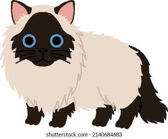 Himalayan is a breed or sub-breed of long-haired cat similar in type to the Persian, with the exception of its blue eyes and its point colouration.