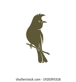 Himalayan Bulbul bird design vector illustration, Creative Himalayan Bulbul bird logo design concepts template, icon symbol