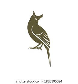 Himalayan Bulbul bird design vector illustration, Creative Himalayan Bulbul bird logo design concepts template, icon symbol