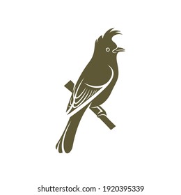 Himalayan Bulbul bird design vector illustration, Creative Himalayan Bulbul bird logo design concepts template, icon symbol
