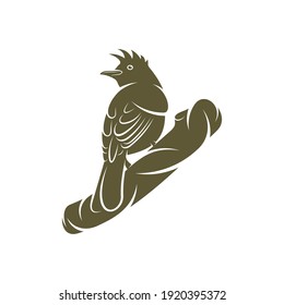 Himalayan Bulbul Vogel Design Vektorgrafik, Creative Himalayan Bulbul Vogel Logo Design-Vorlage, Symbol