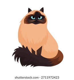 Himalayan cat. Flat vector clipart illustration with isolated background.