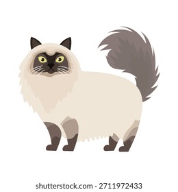 Himalayan cat. Flat vector clipart illustration with isolated background.