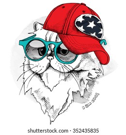 Himalayan cat in glasses and red cap. Vector illustration.