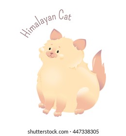 Himalayan Cat isolated on white background. Colourpoint Persian. Long-haired breed. Furry, carnivorous mammal. Part of series of cute cartoon funny kitten species. Child fun pattern icon. Vector