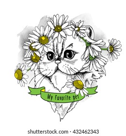 Himalayan Cat portrait in a Chamomile crown. Vector illustration.