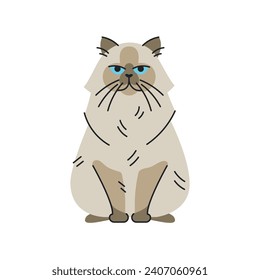Color del gato del Himalaya sentado. Caricatura animal lindo. Ilustración del vector de tracción manual aislada.  