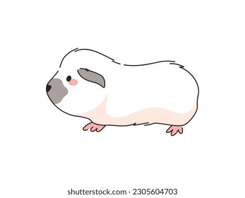 Himalayan Guinea Pig Cartoon Vector Illustration. Isolated icon on white background.