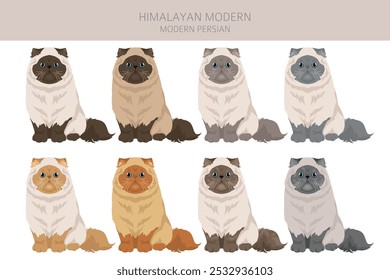 Himalayan Persian Cat clipart. Modern type. All coat colors set.  All cat breeds characteristics infographic. Vector illustration