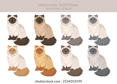 Himalayan Persian Cat clipart. Traditional type. All coat colors set.  All cat breeds characteristics infographic. Vector illustration