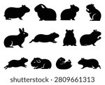 Himalayan-Guinea-Pig Silhouette Vector Set - Small Pet Clipart