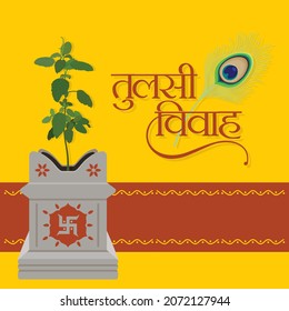 Hindi Typography of and Indian Festival - Tulsi Vivah means  Wedding of Holy Basil Plant. Holy Basil Plant in a Pot Illustration.