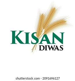 Hindi Typography - Kisan Diwas means Farmers Day. Conceptual Greeting Card for National Farmers Day, 23 December. Editable Illustration.
