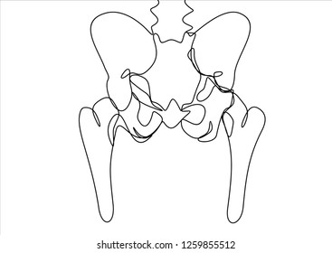 Hip bone. Continuous line