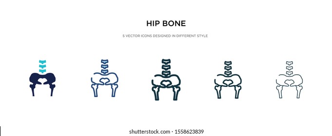 hip bone icon in different style vector illustration. two colored and black hip bone vector icons designed in filled, outline, line and stroke style can be used for web, mobile, ui