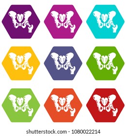 Hip bone icons 9 set coloful isolated on white for web