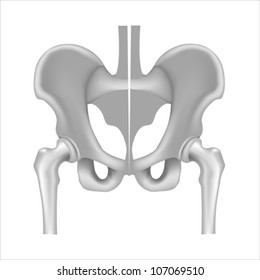 Hip bone and joint, black and white
