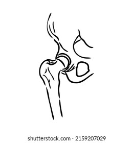 Hip Bone line icon vector illustration logo design.
