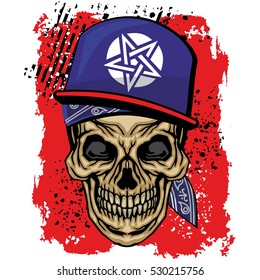 Hip hop coat of arms with skull, grunge.vintage design t-shirts