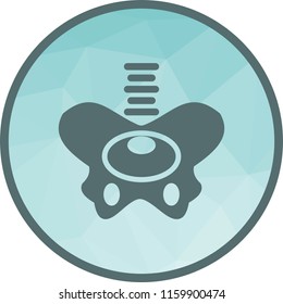 Hip Joint Icon