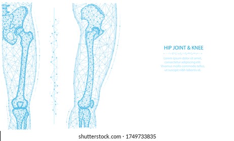 Ilustración vectorial poligonal de las juntas de cadera y de la rodilla delantera y lateral. Concepto de anatomía de la pierna y la pelvis. Diseño médico abstracto de polos bajos sobre fondo blanco