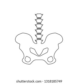 hipbone icon. Element of Human parts for mobile concept and web apps icon. Outline, thin line icon for website design and development, app development