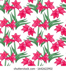 Hippeastrum amaryllis lilly blooming flowers seamless pattern. Elegant tender floral foliage garland bouquet. Vector design illustration.
