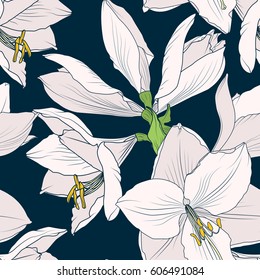 Hippeastrum amaryllis lilly blooming flowers seamless pattern. Beige pink on dark blue navy background. Elegant tender floral foliage garland bouquet. Vector design illustration.