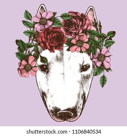 Hippie bull terrier in the roses wreath. Chic dog portrait. Fashion vector illustration for your blog, logo and other design.