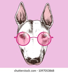 Hippie bull terrier in the round sunglasses. Chic dog portrait. Fashion vector illustration for your blog, logo and other design.