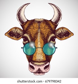 Hippie cow. Animal portrait with blue round sunglasses. Hand drawn vector illustration. 