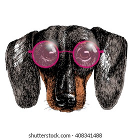 Hippie Dachshund puppy. Dog portrait in pink round glasses. Realistic vector illustration for your blog, logo and other design.