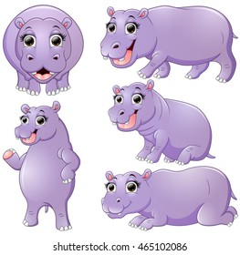 Hippo cartoon set collection