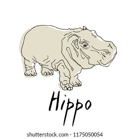 Hippo in a cartoon style, is insulated on white background. African animal wildlife vector illustration icon.