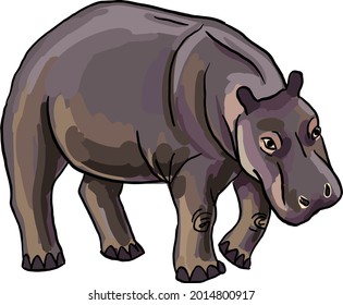 hippo cartoon vector image isolated