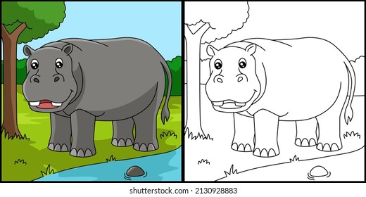 Hippo Coloring Page Colored Illustration