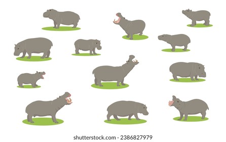 Hippo in different poses flat set for web design. Hippo Vector illustration, Cartoon wild creature white background vector illustration collection. African animals, zoo and wildlife concept