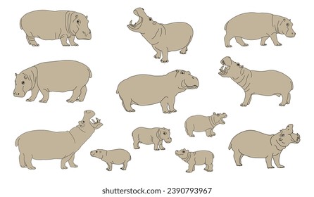 Hippo in different poses flat set for web design. Hippo Vector illustration, Cartoon wild creature white background vector illustration collection. African animals, zoo and wildlife concept