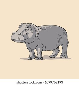 Hippo. Hand drawn vector illustration isolated on background.