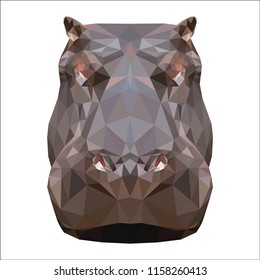 Hippo head illustration. Vector image.